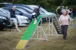 Project_20250802_0003
