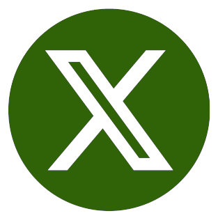 twitter social media icon